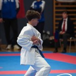 Vienna Open Karate Meisterschaft 2025
