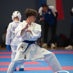 Vienna Open Karate Meisterschaft 2025