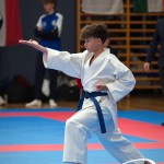 Vienna Open Karate Meisterschaft 2025