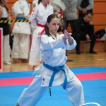 Vienna Open Karate Meisterschaft 2025