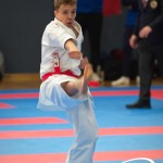 Vienna Open Karate Meisterschaft 2025