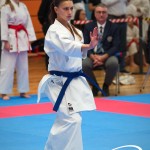 Vienna Open Karate Meisterschaft 2025