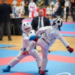 Vienna Open Karate Meisterschaft 2025
