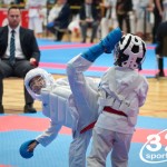 Vienna Open Karate Meisterschaft 2025