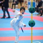 Vienna Open Karate Meisterschaft 2025