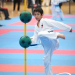 Vienna Open Karate Meisterschaft 2025