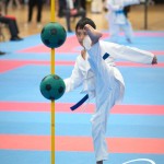 Vienna Open Karate Meisterschaft 2025