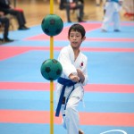 Vienna Open Karate Meisterschaft 2025