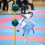 Vienna Open Karate Meisterschaft 2025