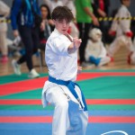 Vienna Open Karate Meisterschaft 2025