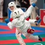 Vienna Open Karate Meisterschaft 2025