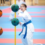Vienna Open Karate Meisterschaft 2025