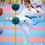 Vienna Open Karate Meisterschaft 2025