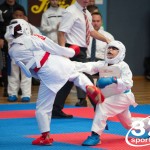 Vienna Open Karate Meisterschaft 2025