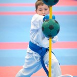 Vienna Open Karate Meisterschaft 2025