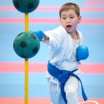 Vienna Open Karate Meisterschaft 2025