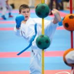 Vienna Open Karate Meisterschaft 2025