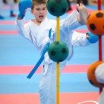 Vienna Open Karate Meisterschaft 2025