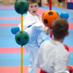 Vienna Open Karate Meisterschaft 2025