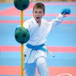 Vienna Open Karate Meisterschaft 2025