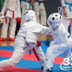 Vienna Open Karate Meisterschaft 2025