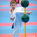 Vienna Open Karate Meisterschaft 2025