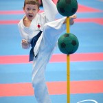Vienna Open Karate Meisterschaft 2025