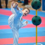 Vienna Open Karate Meisterschaft 2025