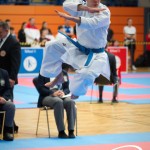 Vienna Open Karate Meisterschaft 2025