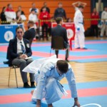 Vienna Open Karate Meisterschaft 2025