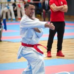Vienna Open Karate Meisterschaft 2025