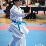 Vienna Open Karate Meisterschaft 2025