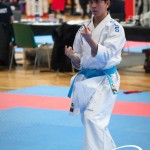 Vienna Open Karate Meisterschaft 2025