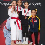 Vienna Open Karate Meisterschaft 2025