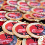 Vienna Open Karate Meisterschaft 2025