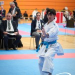Vienna Open Karate Meisterschaft 2025