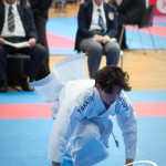 Vienna Open Karate Meisterschaft 2025