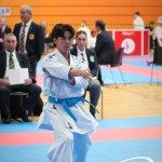 Vienna Open Karate Meisterschaft 2025