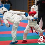 Vienna Open Karate Meisterschaft 2025