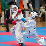 Vienna Open Karate Meisterschaft 2025