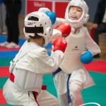 Vienna Open Karate Meisterschaft 2025