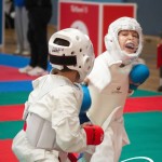 Vienna Open Karate Meisterschaft 2025