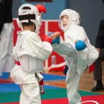 Vienna Open Karate Meisterschaft 2025