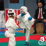 Vienna Open Karate Meisterschaft 2025