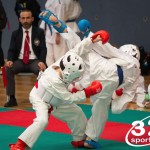 Vienna Open Karate Meisterschaft 2025
