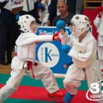 Vienna Open Karate Meisterschaft 2025