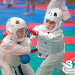 Vienna Open Karate Meisterschaft 2025