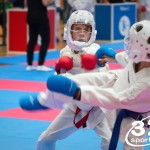 Vienna Open Karate Meisterschaft 2025