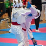 Vienna Open Karate Meisterschaft 2025