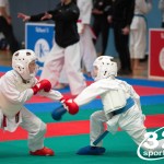 Vienna Open Karate Meisterschaft 2025